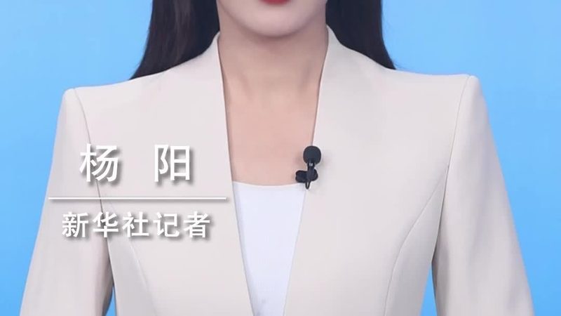 选型标准：关注核心功能与个性化需求